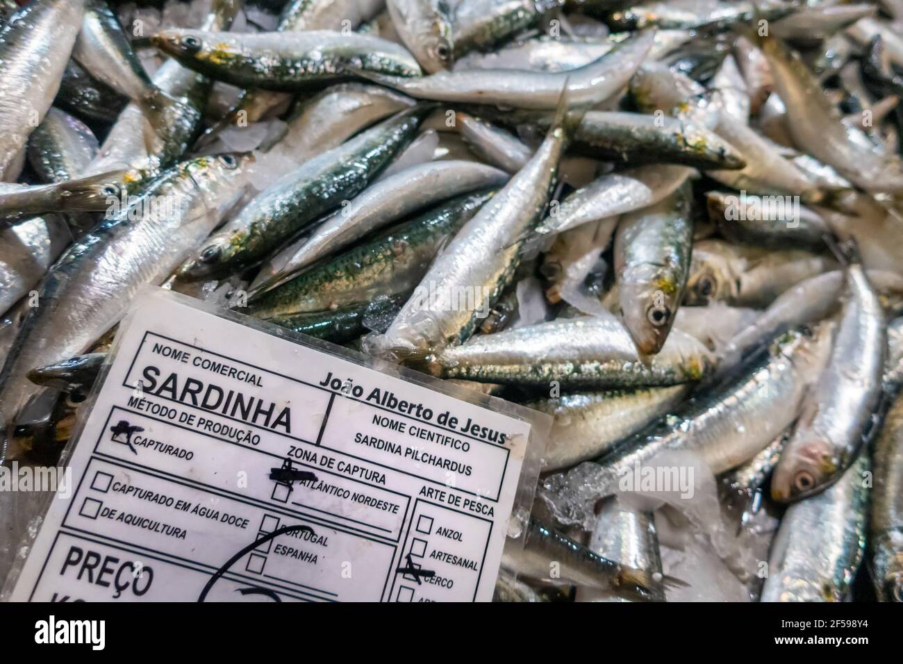 Sardines fraîches sur le marché du poisson, Algarve, Portugal Banque D'Images