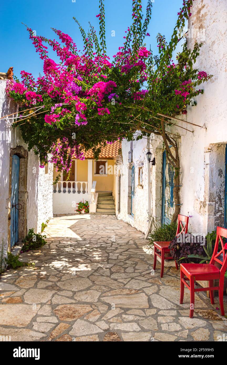 Rue pittoresque avec des maisons grecques anciennes blanches et des fleurs vibrantes de bougainvilliers rose dans le vieux village d'Afionas sur l'île de Corfou, Grèce. Célèbre Banque D'Images