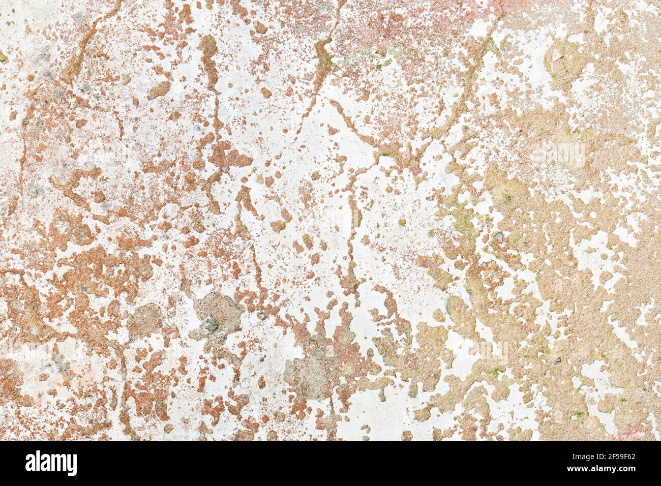 Un vieux mur de ciment fissuré, avec des teintes claires de peinture usée et détériorée en raison du passage du temps Banque D'Images