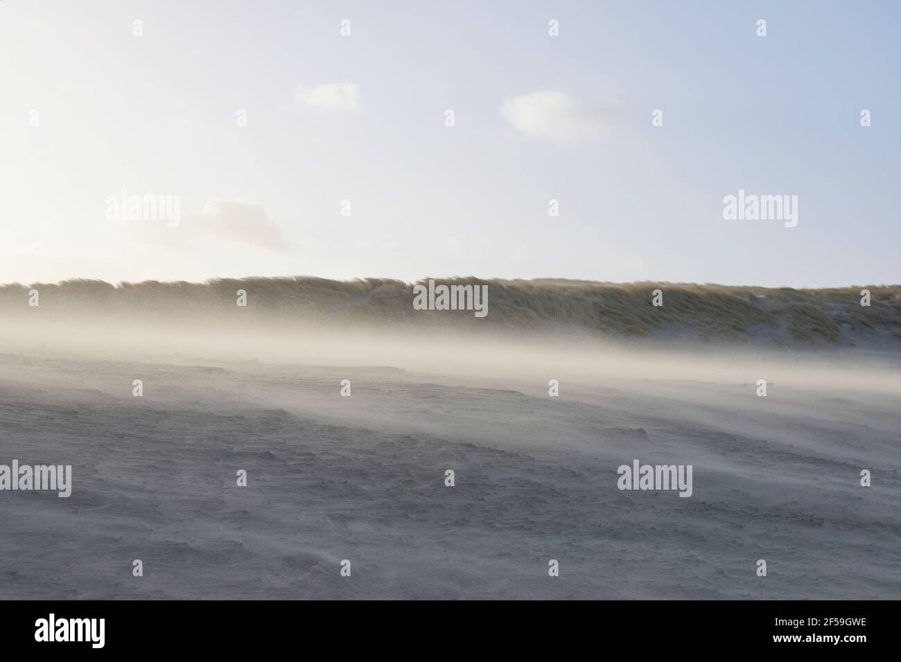 Rondvliegend zand tijdens storm op het strand. | sable volant pendant une tempête sur la plage. Banque D'Images