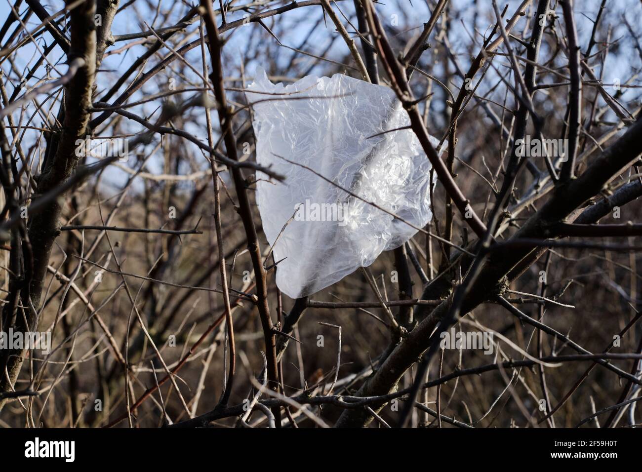 Zwerfafval à de natuur. | litière dans la nature. Banque D'Images