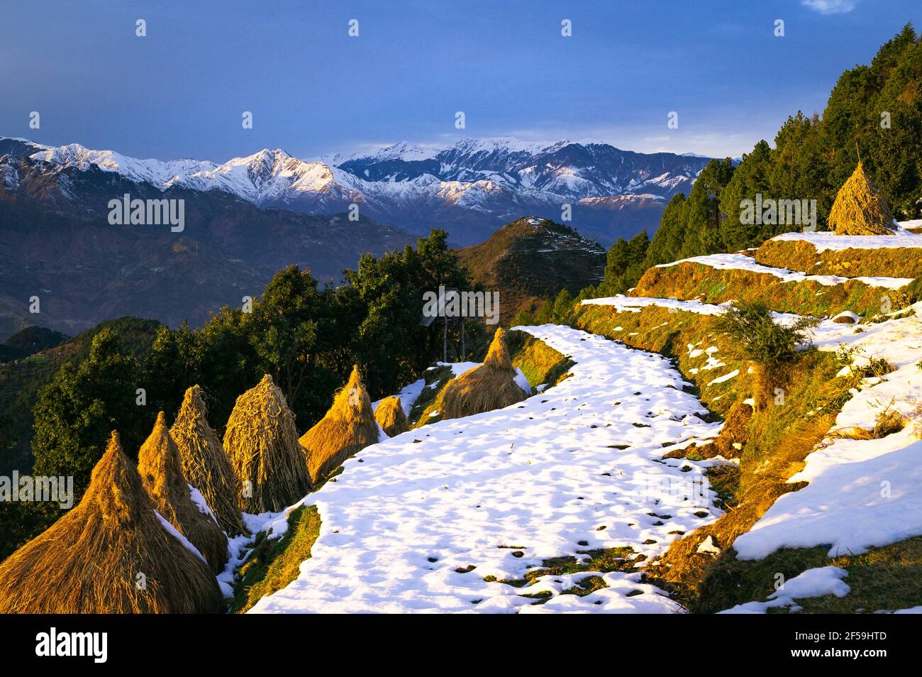 Paysage avec neige et montagnes. Vue sur un village pittoresque au coucher du soleil pendant l'hiver, en toile de fond des montagnes de l'Himalaya. Himachal Pradesh, Inde. Banque D'Images