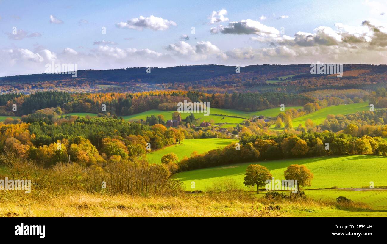 Magnifiques collines de Surrey Banque D'Images