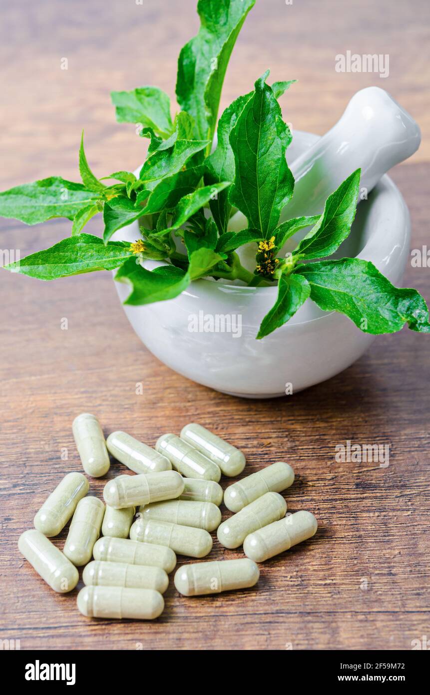 Pile de plantes médicinales en capsules et mortier céramique avec feuille verte sur fond de bois. Banque D'Images