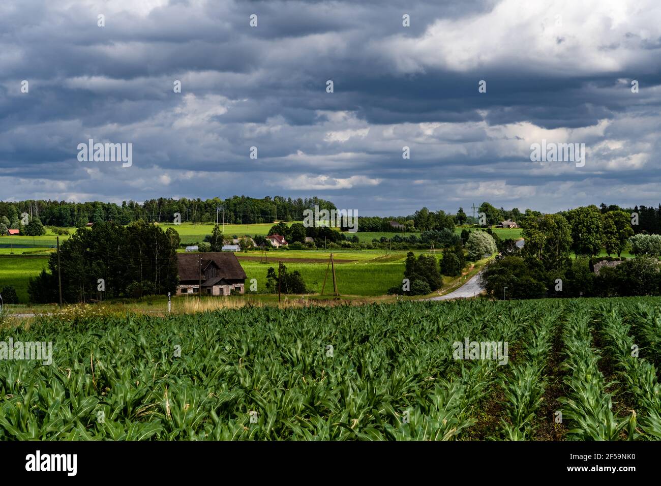 Belle et colorée vallée de la forêt au bord de la rivière Gauja à Sigulda, Lettonie Banque D'Images