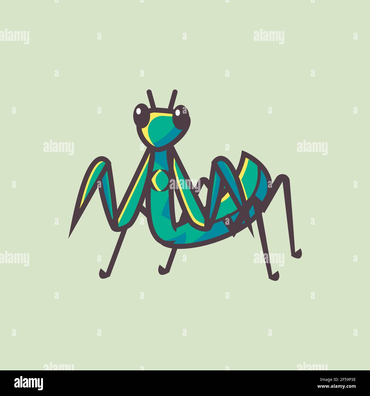 Joli motif mantis. Vecteur Premium Illustration de Vecteur