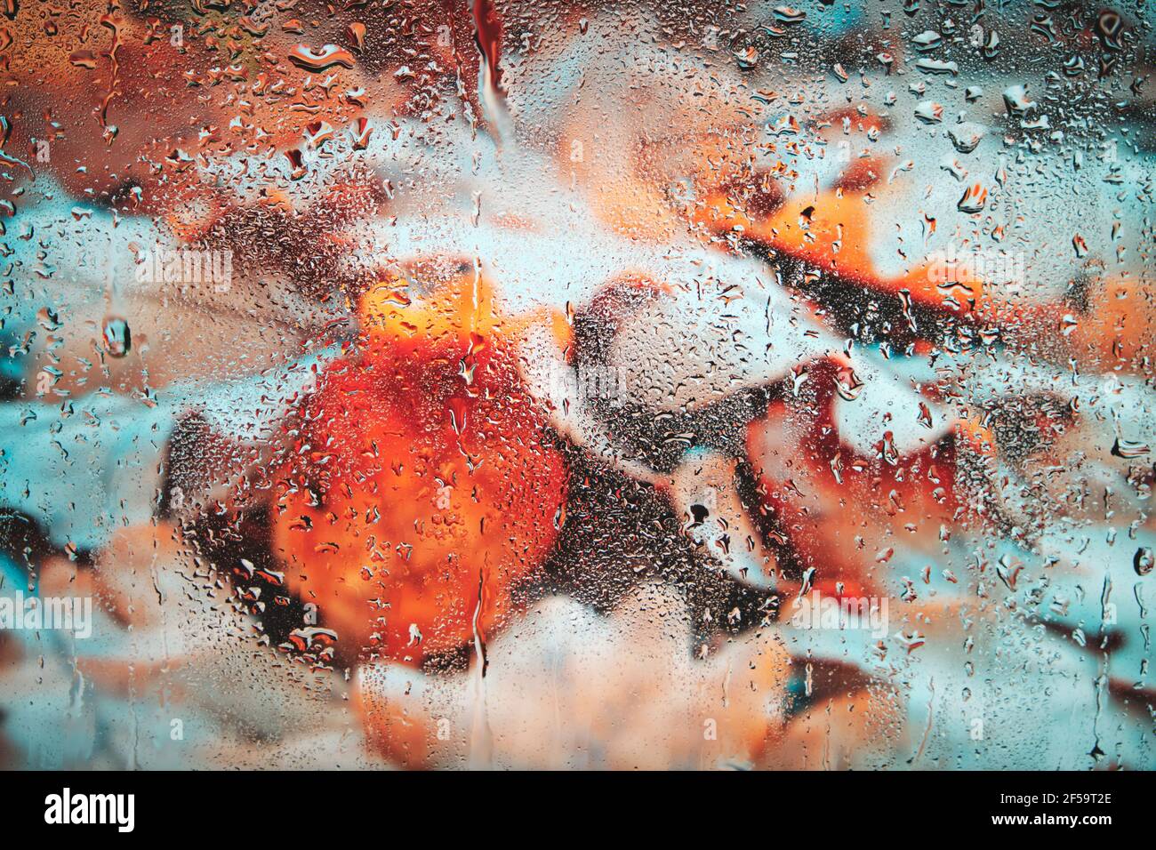 Tombé, feuilles d'automne jaunées derrière le verre humide après la pluie.arrière-plan verre fogé avec le feuillage. Banque D'Images