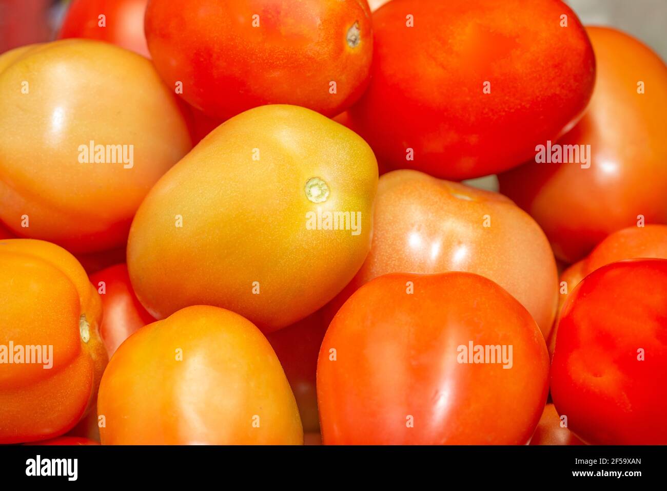 pile de tomates mûres. Banque D'Images