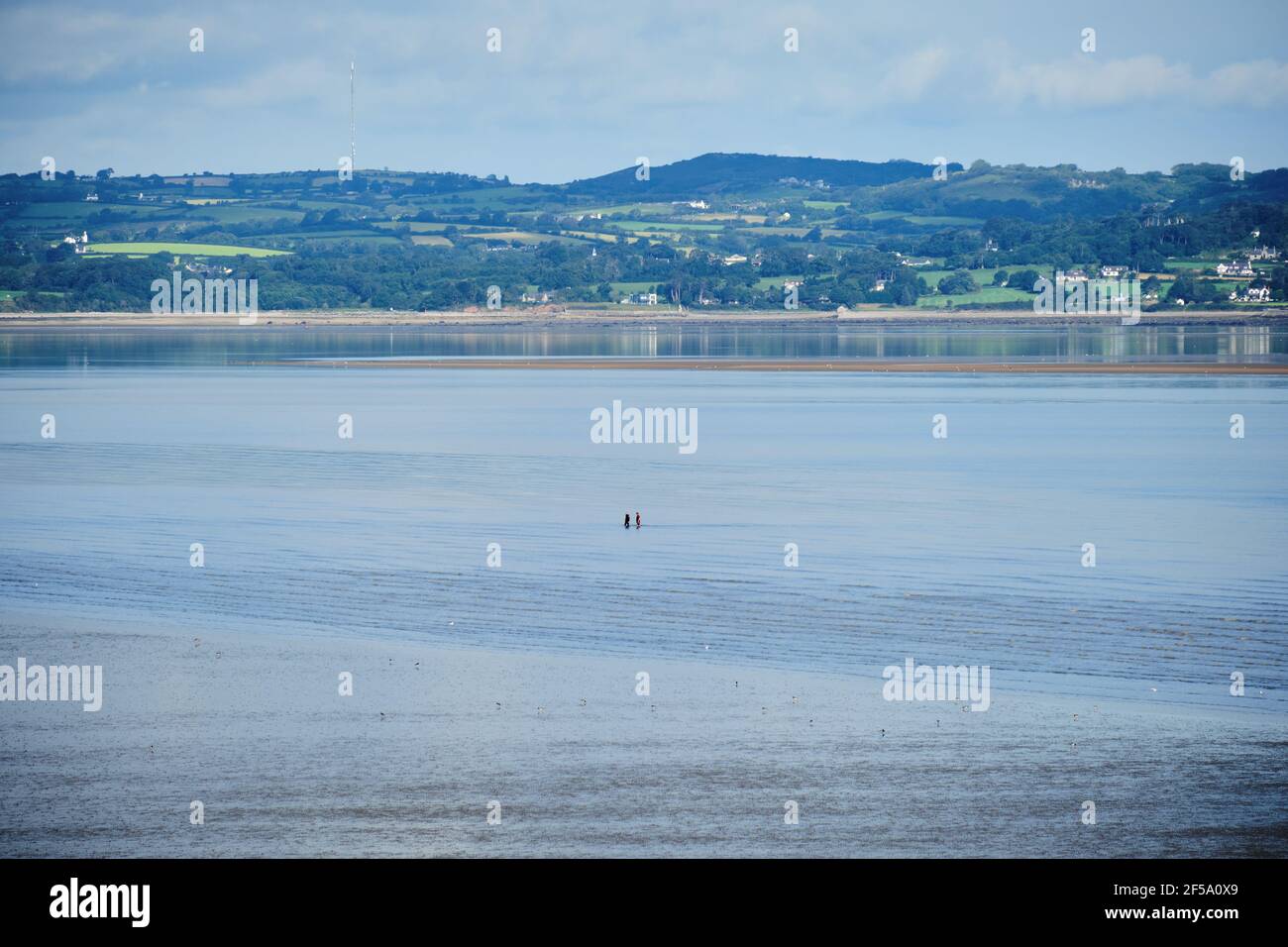 Deux personnes se frayant dans le détroit de Menai, au pays de Galles, à marée basse, avec Anglesey derrière Banque D'Images