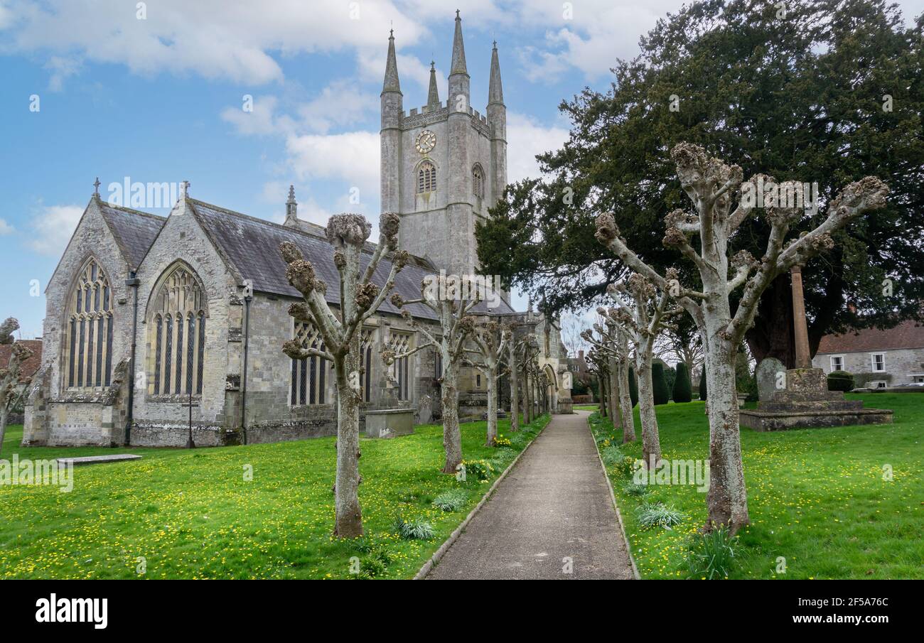 Vue de l'église Saint-Michel l'Archange avec chemin de cour d'église pollarbée à Mere, Wiltshire, Royaume-Uni, le 25 mars 2021 Banque D'Images