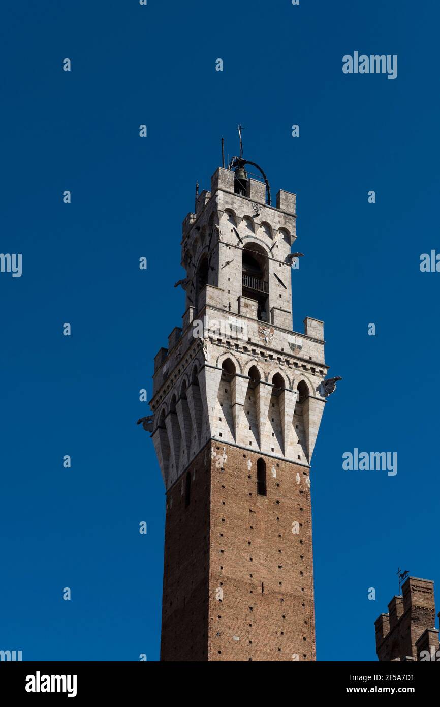 La Torre del Mangia à Sienne, Toscane, Italie. Banque D'Images