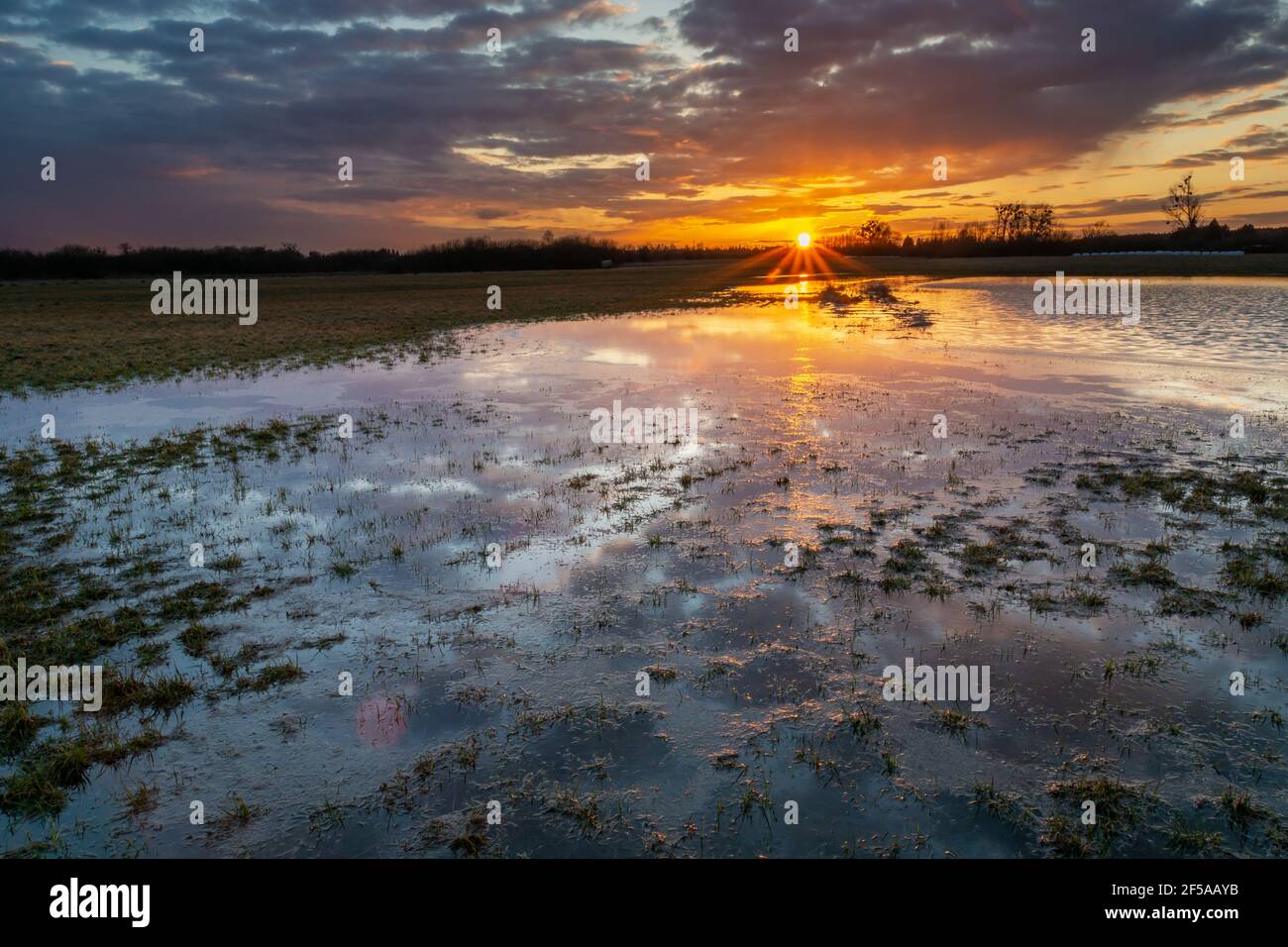 Un pré humide dans l'est de la Pologne pendant le coucher du soleil, Noviny, Lubelskie, Pologne Banque D'Images