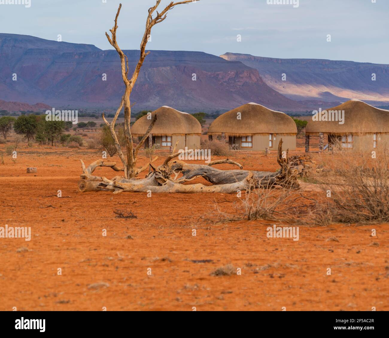 PARC NAMIB NAUKLUFT, NAMIBIE - JANVIER 06. 2021: Nous Kebi Safari Lodge - arbre mort à un trou d'eau, arrière-plan thatched toit maison à la Namib Naukluft Banque D'Images