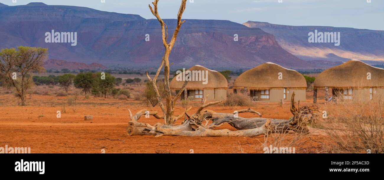 PARC NAMIB NAUKLUFT, NAMIBIE - JANVIER 06. 2021: Nous Kebi Safari Lodge - arbre mort à un trou d'eau, arrière-plan thatched toit maison à la Namib Naukluft Banque D'Images
