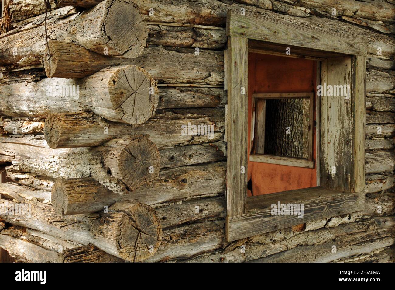 Détail d'un chalet abandonné en rondins dans les cabines modernes de John, un tribunal touristique longtemps fermé et abandonné sur l'ancienne route 66 près de Newburg, Missouri. Banque D'Images