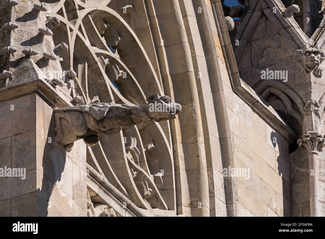 Gargola catedral de León Banque D'Images
