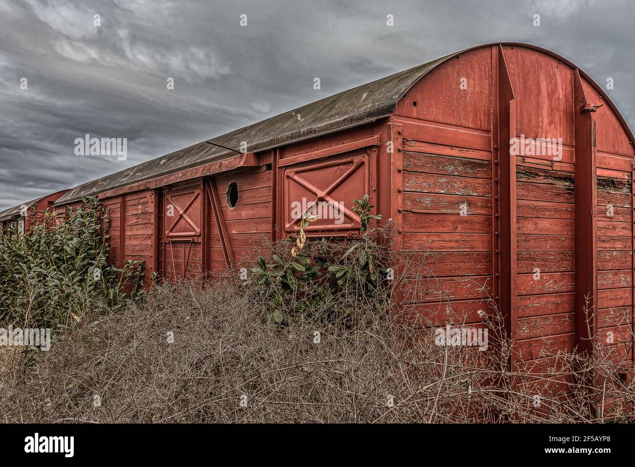 Un vieux wagon abandonné dans un épaissis, Copenhague, Mars 20, 2021 Banque D'Images