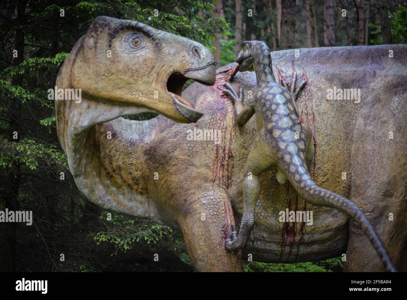 Chasseur et proie: Modèle LifeSize d'un Iguanodon attaqué par des rapaces. Banque D'Images