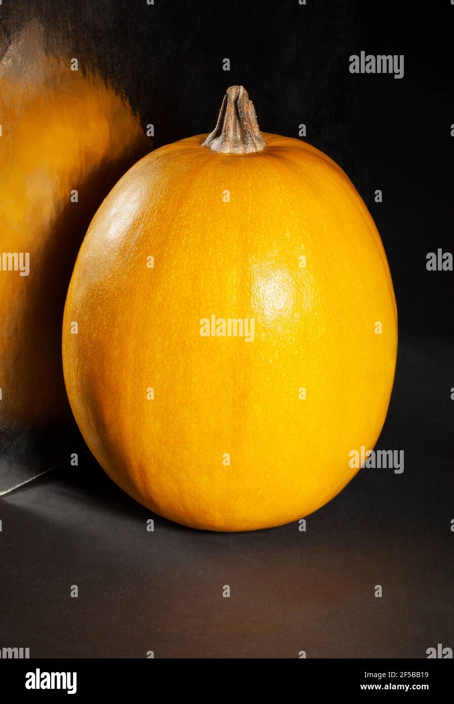 courge spaghetti sur fond noir Banque D'Images