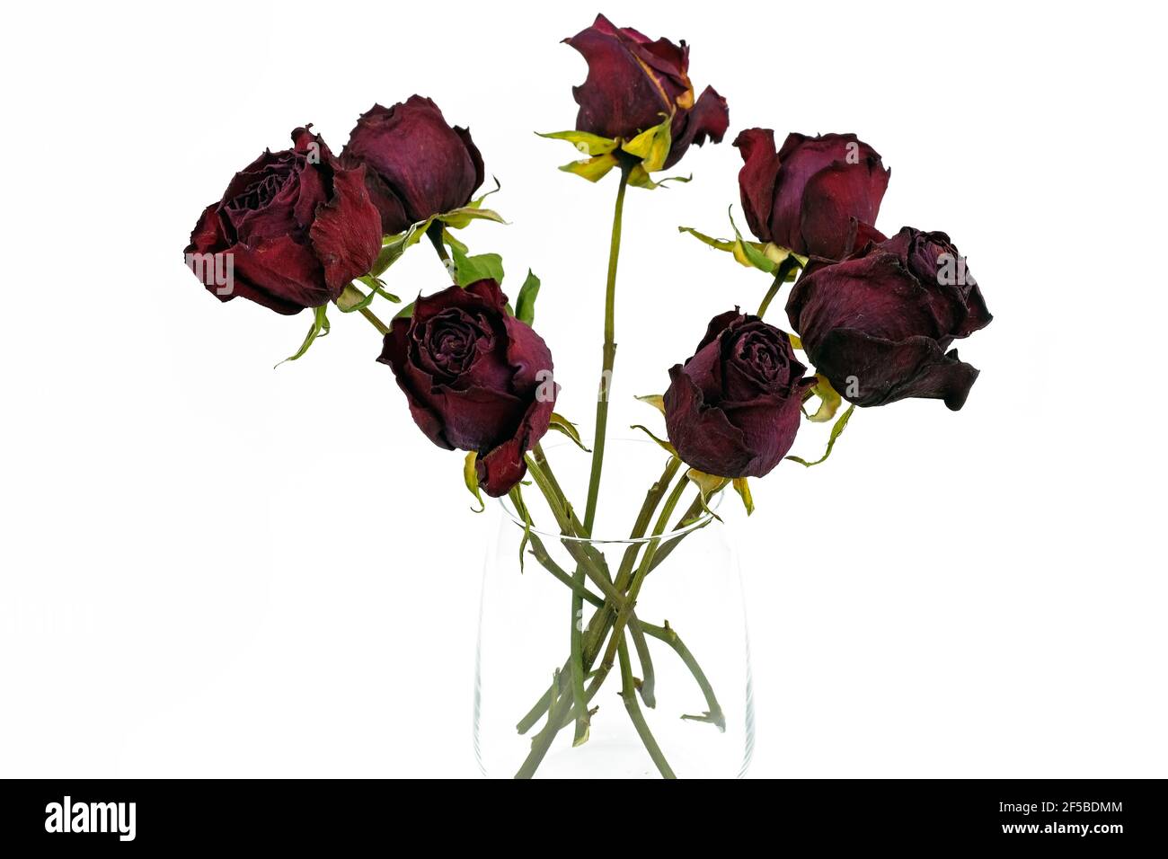 Séchez les roses dans un vase en verre sur fond blanc. Fleurs séchées dans un verre. Herbarium, un bouquet de roses rouges séchées. Banque D'Images