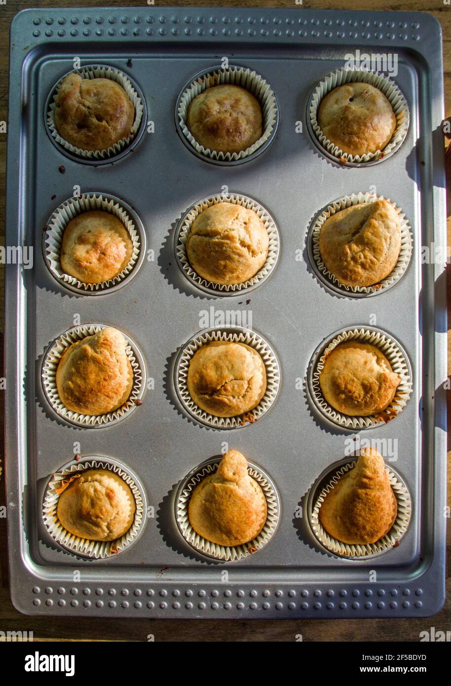 le soleil du matin illumine les petits muffins à la crème et au chocolat, chauds et cuits à la vapeur, frais hors du four prêt pour le petit déjeuner Banque D'Images le soleil du matin illumine les petits muffins à la crème et au chocolat, chauds et cuits à la vapeur, frais hors du four prêt pour le petit déjeuner Banque D'Images