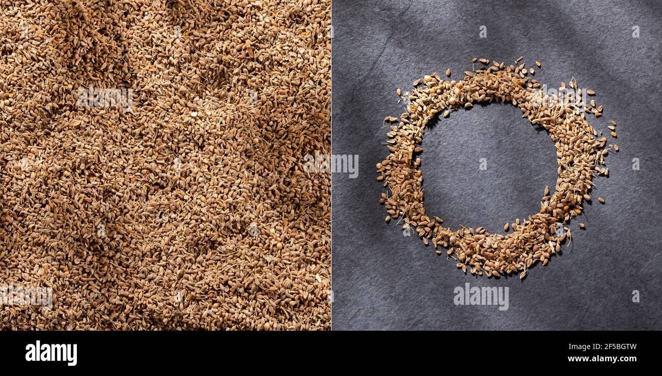 Graines d'anis séchées - Pimpinella anisum Banque D'Images