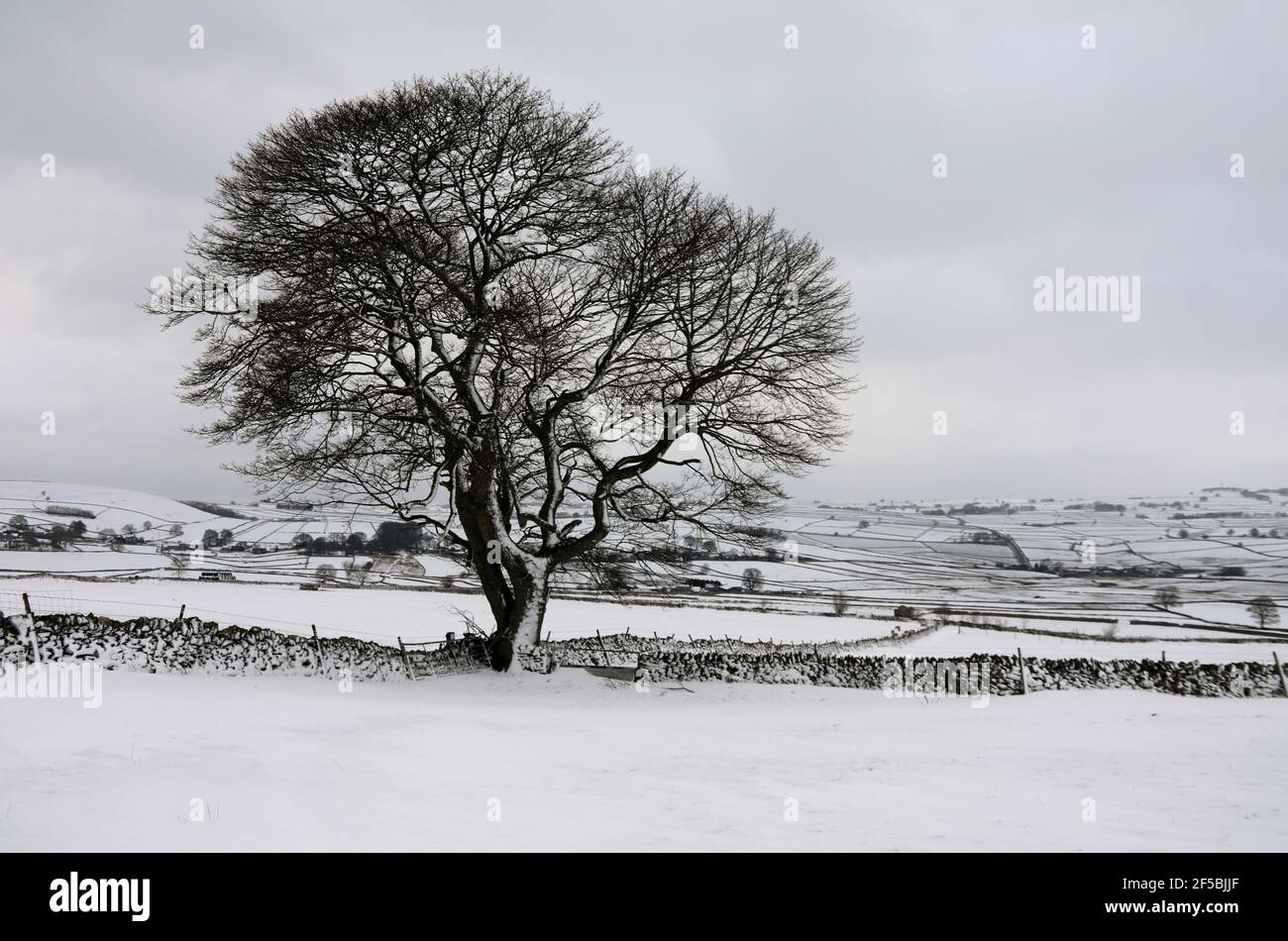 Neige d'hiver à Wardlow près de Tideswell dans le Derbyshire Peak Parc national du district Banque D'Images