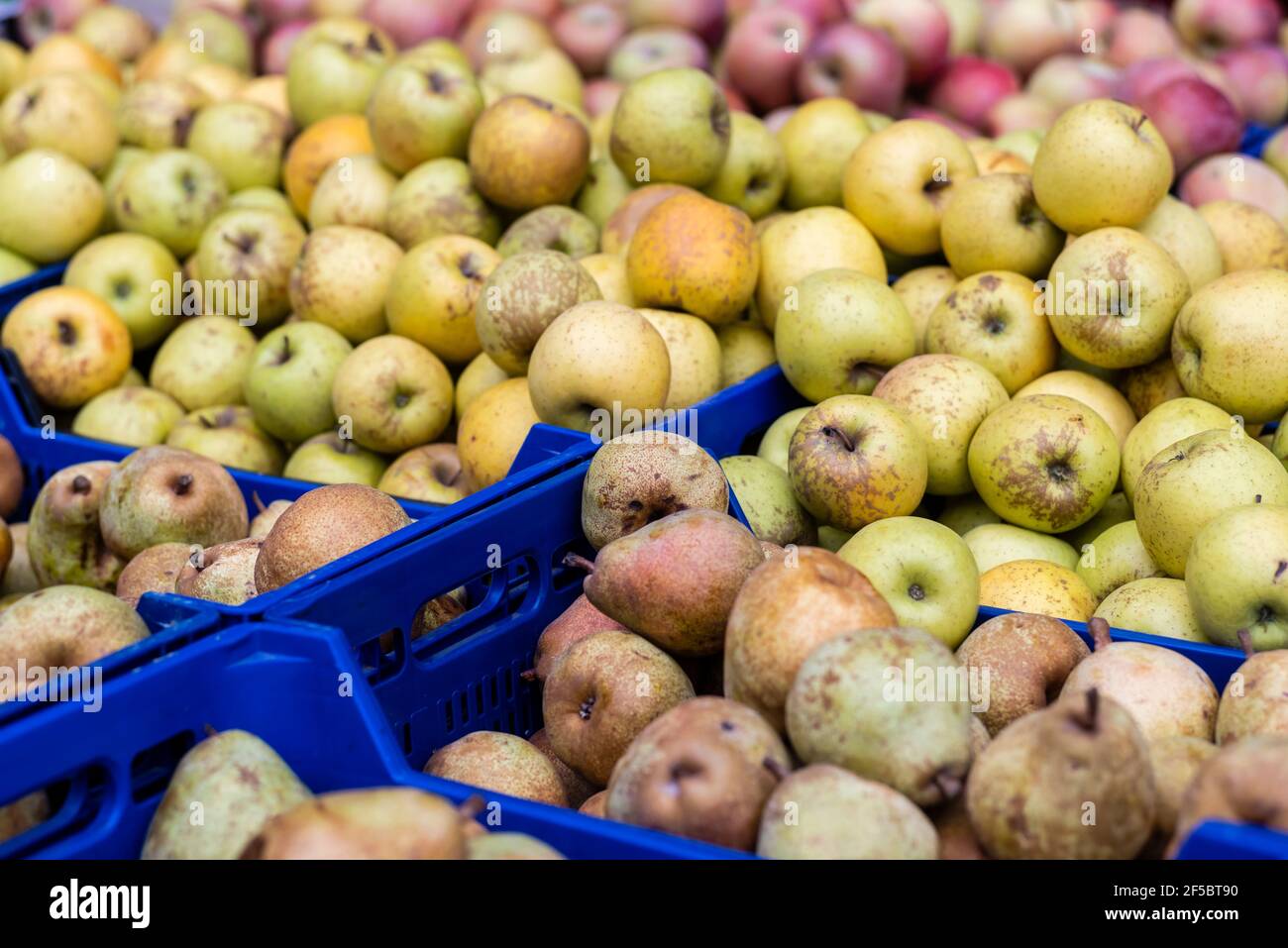 Vic marché hebdomadaire, produits frais et biologiques, pommes, Barcelone, Catalogne, Espagne. Banque D'Images