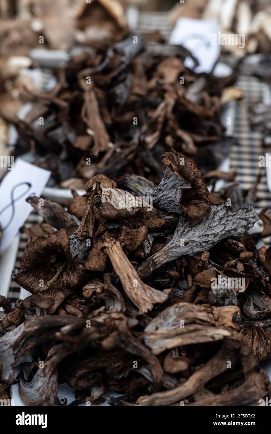 Vic marché hebdomadaire, produits frais et biologiques, Barcelone, Catalogne, Espagne. Banque D'Images