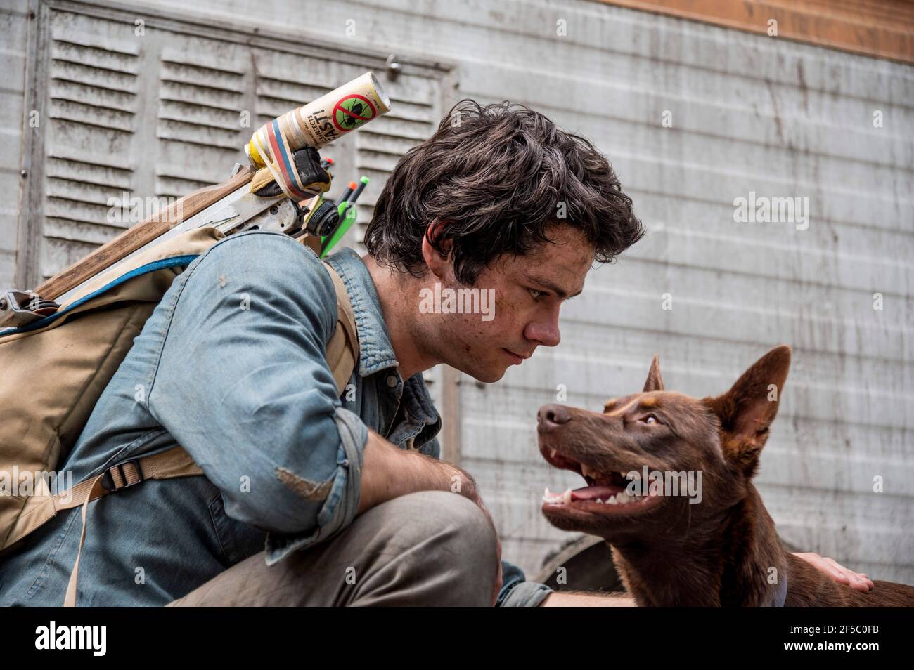 DATE DE SORTIE: 20 octobre 2020 TITRE: Love and Monsters STUDIO: Paramount Pictures DIRECTEUR: Michael Matthews PARCELLE: Dans un monde infesté de monstres, Joel apprend que sa petite amie est à seulement 85 miles. Pour faire le dangereux voyage, Joel découvre son héros intérieur d'être avec la fille de ses rêves. AVEC : DYLAN O'BRIEN comme Joel. (Image de crédit : © Paramount Pictures/Entertainment Pictures) Banque D'Images