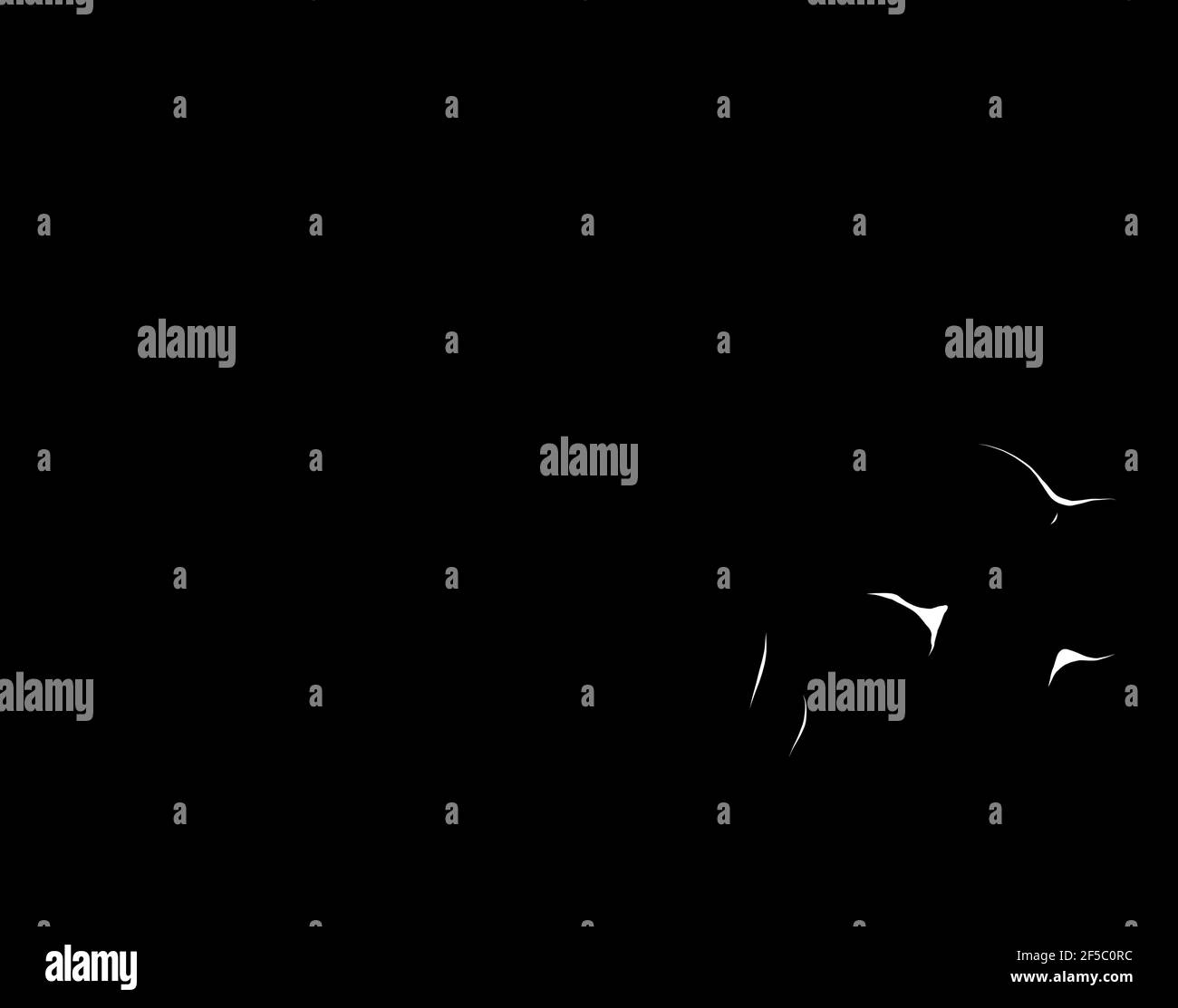 Silhouette blanche du crâne de Monsters avec pompkids sur fond noir Illustration de Vecteur