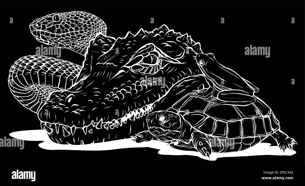 silhouette blanche de reptiles et d'amphibiens. Crocodile sauvage, serpent, tortue et grenouille Illustration de Vecteur