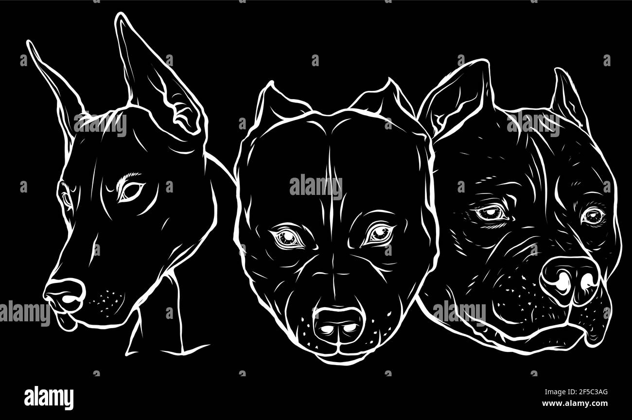 Silhouette blanche de têtes de chiens Pitbull dobermann bulldog vector Illustration de Vecteur