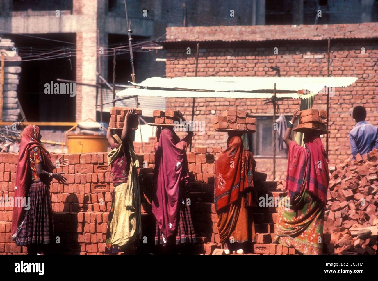 Femmes intouchables à New Delhi, en Inde, transportant des briques sur les têtes sur le site de construction. Banque D'Images
