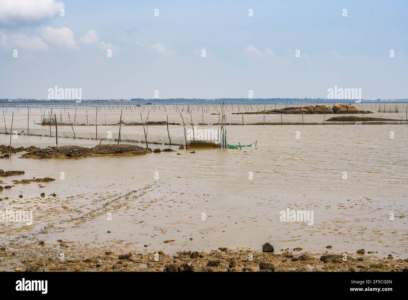 Pêche sur la plage Banque D'Images