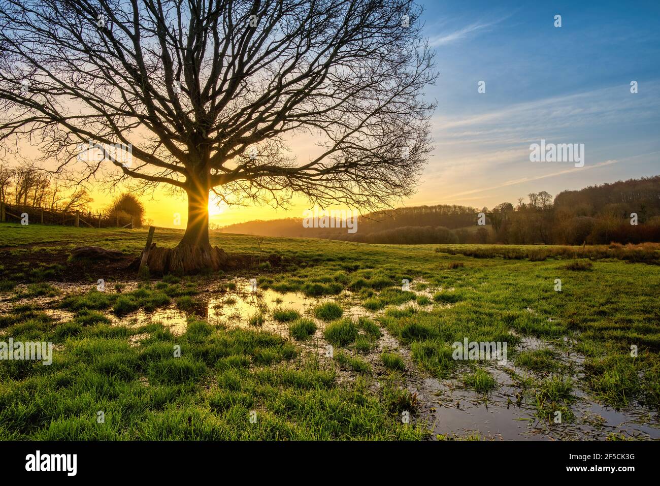 Lever de soleil sur un terrain inondé dans la vallée des Échecs de la rivière, Latimer près de Chesham, dans l'AONB Chilterns, en Angleterre Banque D'Images