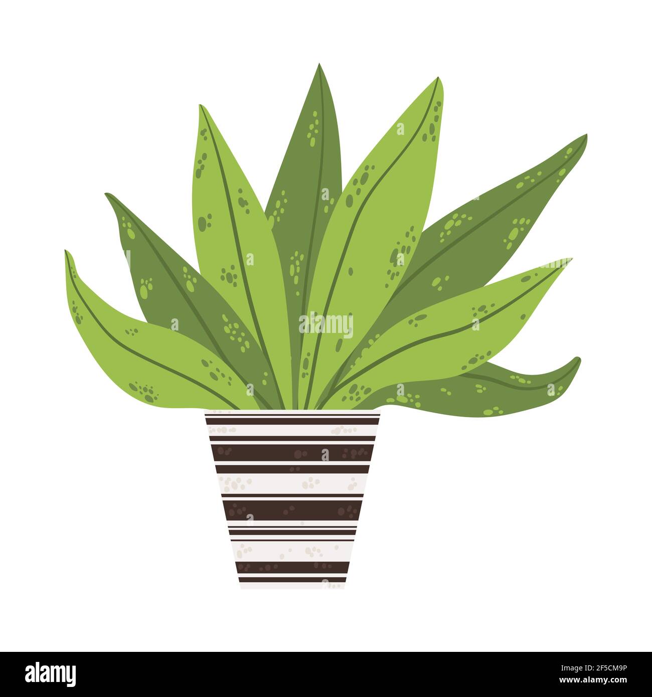 Une seule maison colorée en pot. Illustrations vectorielles d'une plante intérieure dans un pot de fleurs. Fleurs en pot de style dessin animé plat. Isolé sur le backgro blanc Illustration de Vecteur