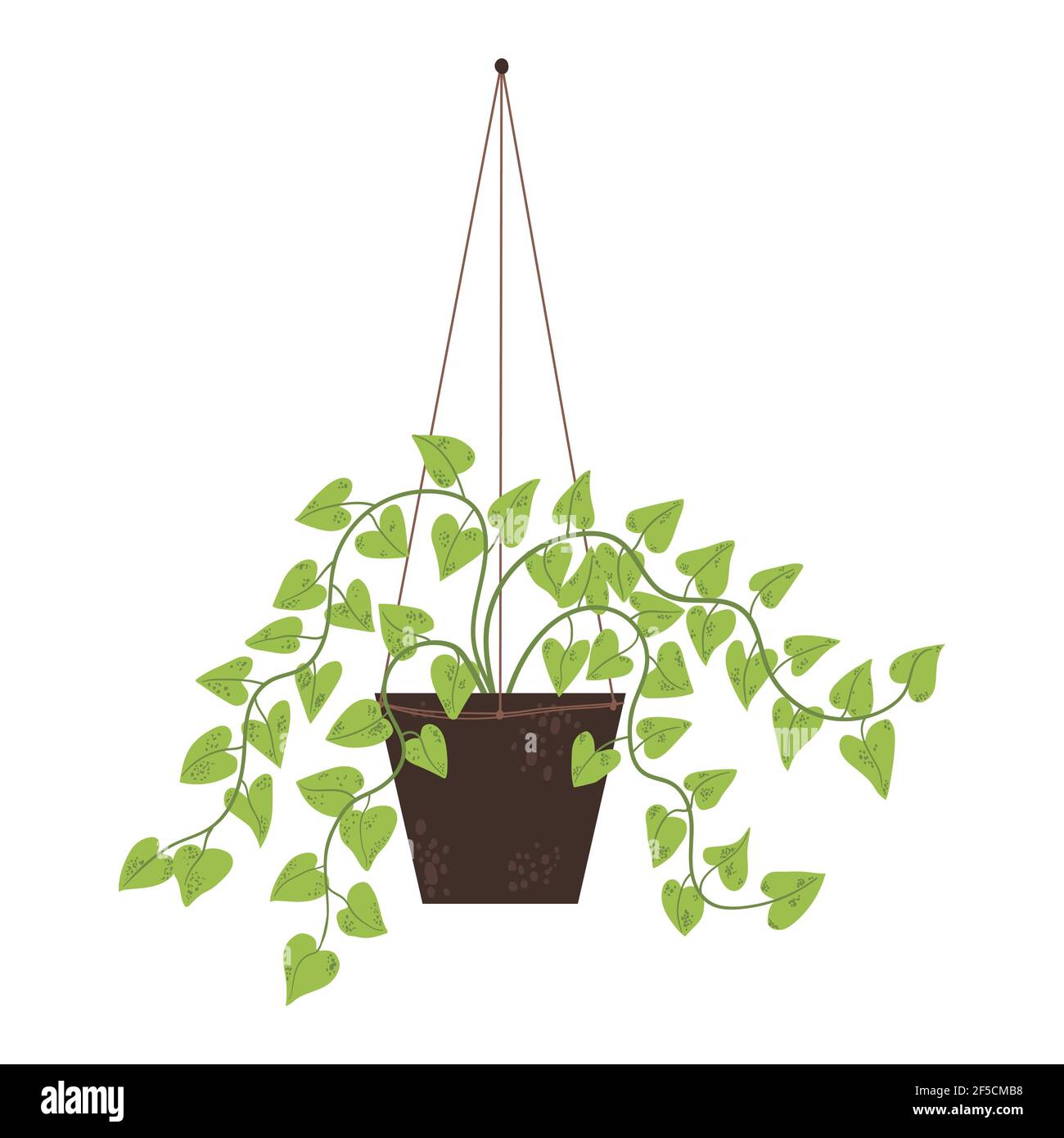 Une seule maison colorée en pot. Illustrations vectorielles d'une plante intérieure dans un pot de fleurs. Fleurs en pot de style dessin animé plat. Isolé sur le backgro blanc Illustration de Vecteur