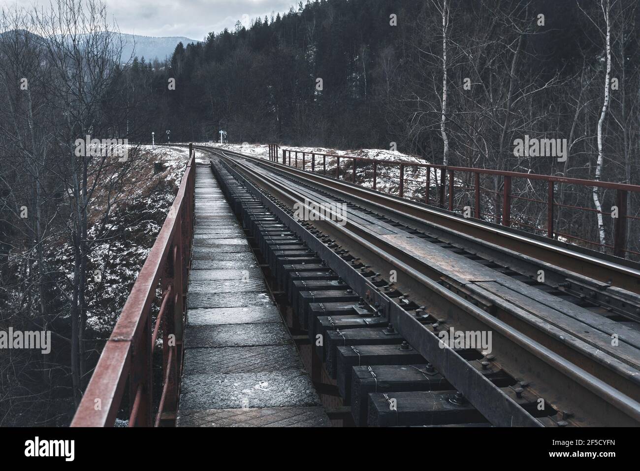 Pont ferroviaire entre les montagnes enneigées. Voyages. Transport. Banque D'Images
