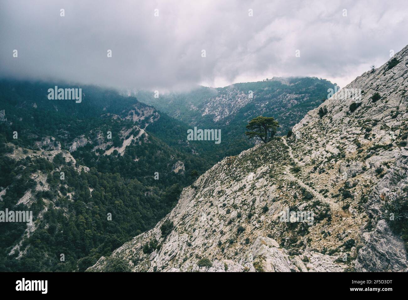 journée nuageux avec brouillard dans les montagnes du parc naturel des ports, à tarragone (espagne). Photo prise d'un sentier de randonnée Banque D'Images