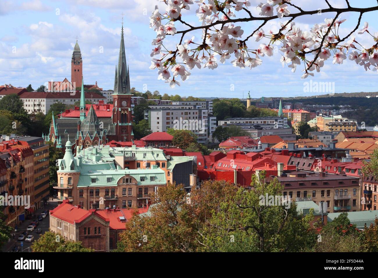 Printemps à Göteborg en Suède. Paysage urbain de Göteborg avec quartier Olivedal. Cerisiers en fleurs au printemps. Banque D'Images