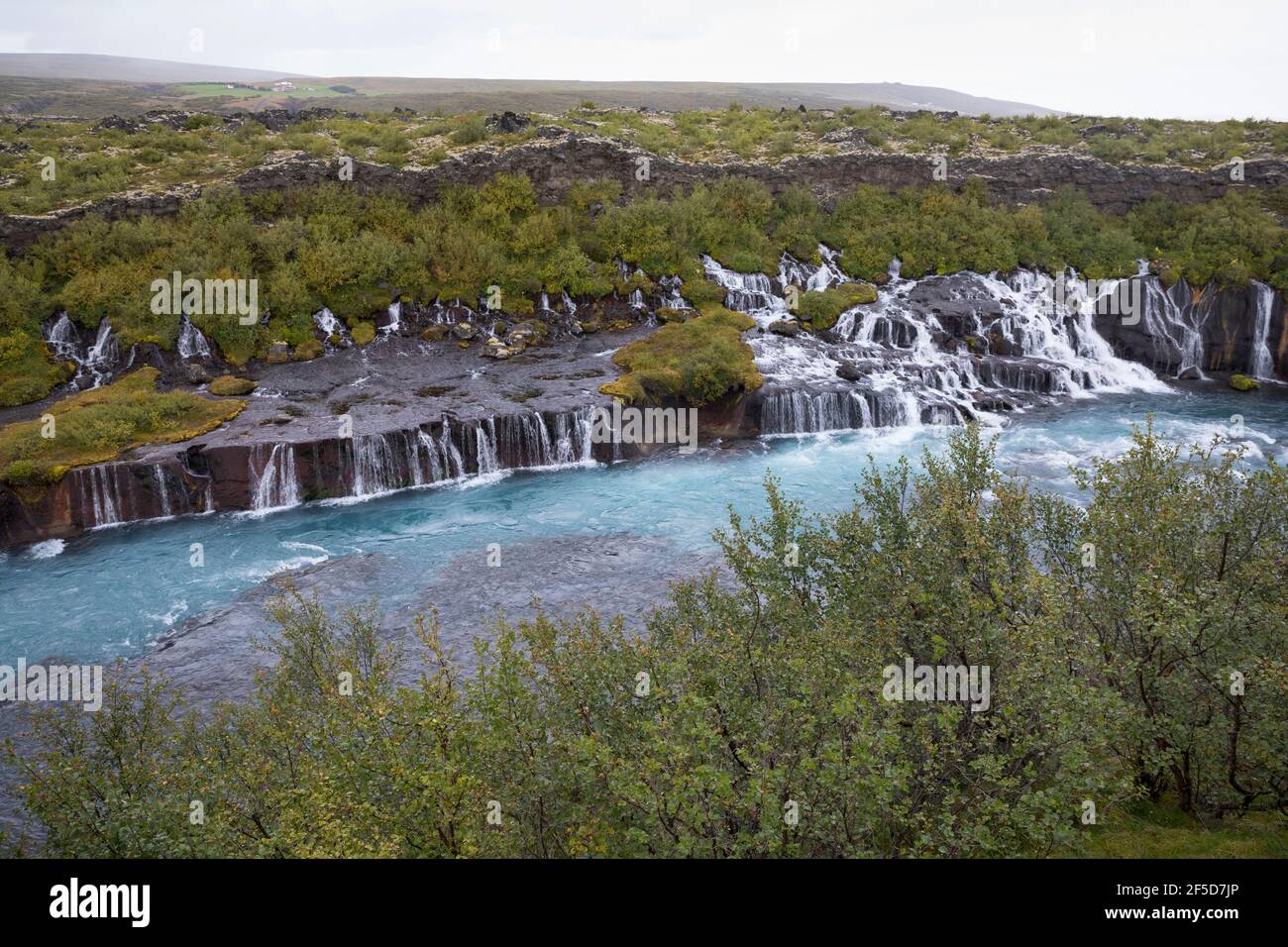 Les cascades de Hraunfossar se déversent dans Hvita, entre Husafell et Reykholt, en Islande, Hallmundarhraun Banque D'Images