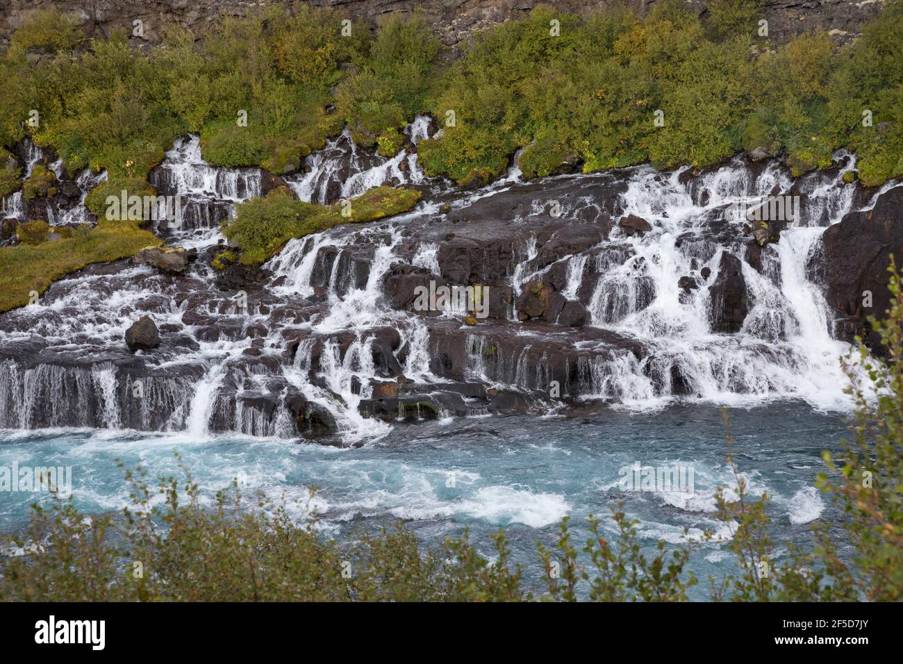 Les cascades de Hraunfossar se déversent dans Hvita, entre Husafell et Reykholt, en Islande, Hallmundarhraun Banque D'Images
