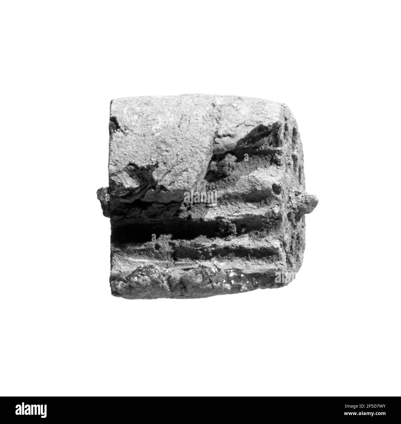 Segment d'arc de péroné. Inconnu Banque D'Images