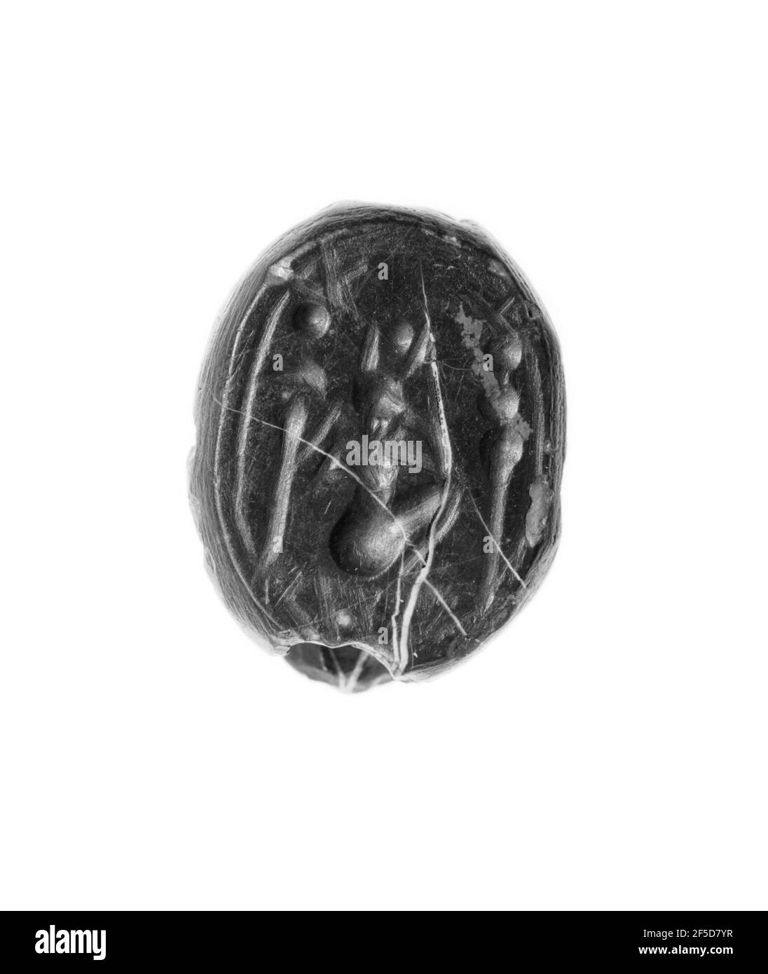 Scarib gravé. Inconnu Banque D'Images