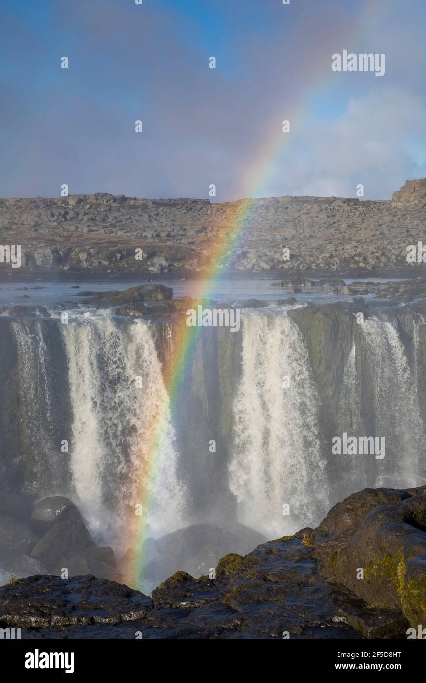 Cascade Selfoss, cascade de la rivière Joekulsá á Fjoellum, germe formant un arc-en-ciel, Islande, Parc national de Joekulsargljufur Banque D'Images