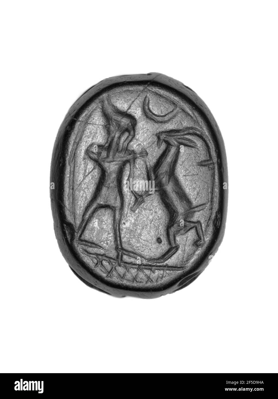 Scarabée. Inconnu Banque D'Images