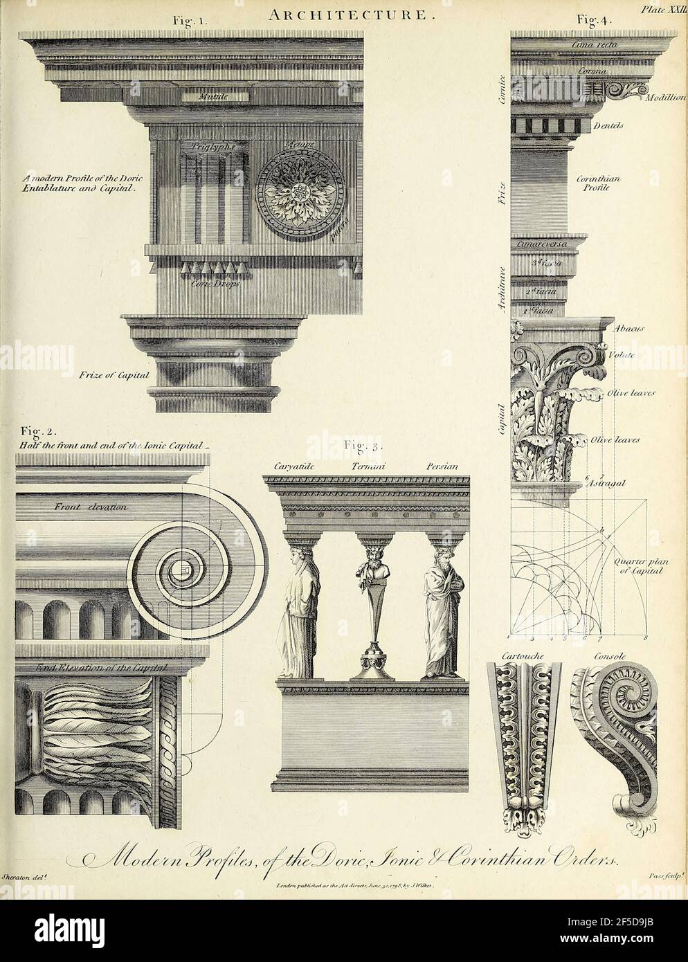 Gravure sur plaque de coperplate des profils modernes des ordres doriques, ioniques et corinthiens de l'Encyclopédie Londinensis or, Dictionnaire universel des arts, des sciences et de la littérature; Volume II; édité par Wilkes, Jean. Publié à Londres en 1810 Banque D'Images