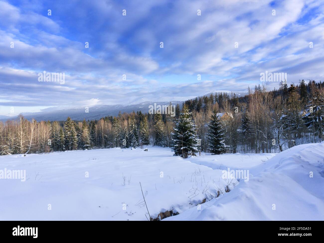 Paysage de montagne d'hiver, Pologne, Europe. Panorama des montagnes géantes en hiver ensoleillé, vue de Biała Dolina à Szklarska Poreba sur Szrenica Banque D'Images