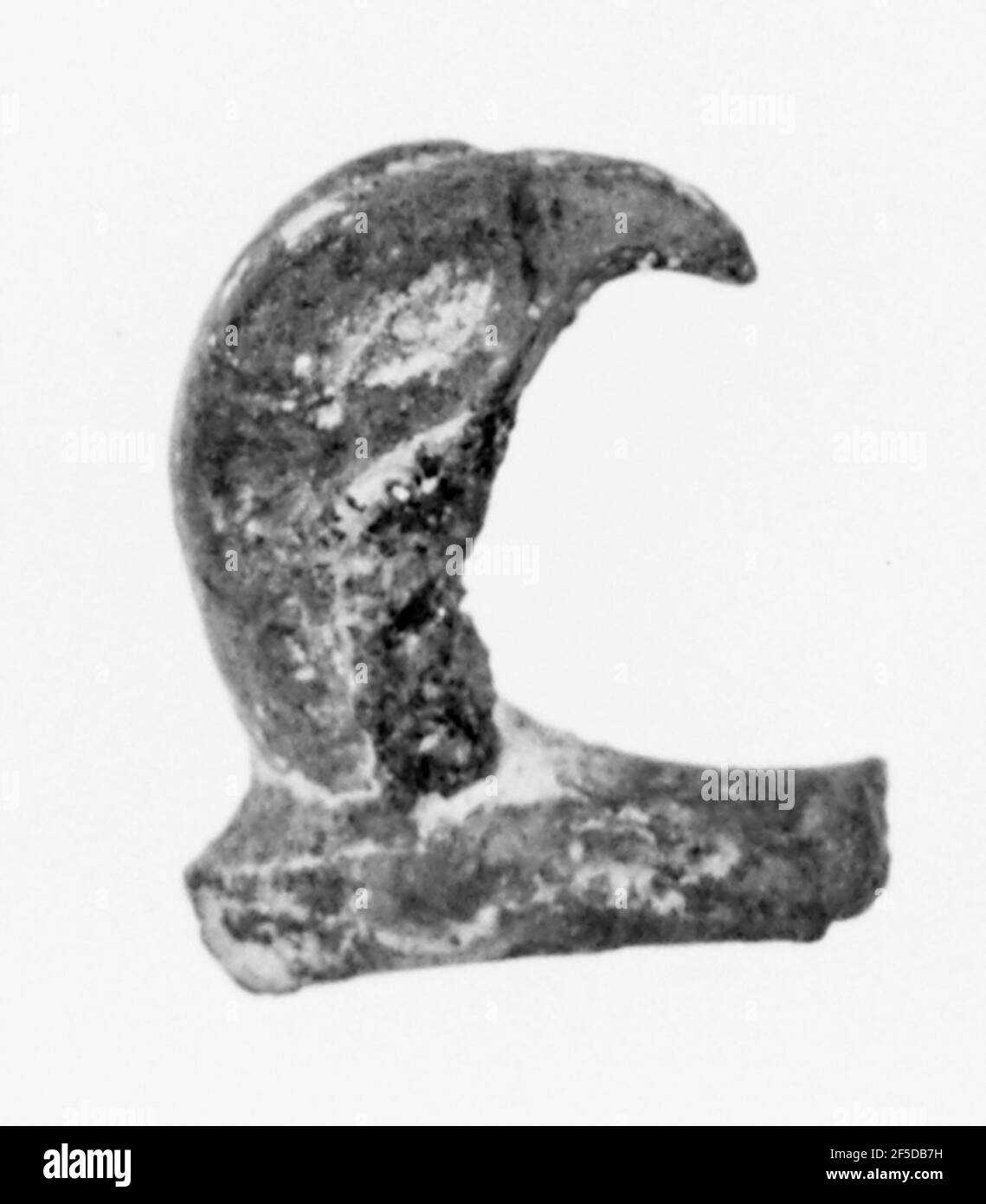 Terminal Eagle Head. Inconnu Banque D'Images